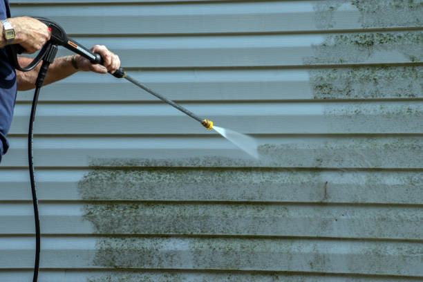 Best Roof Cleaning and Mildew Removal in Mountain Iron, MN